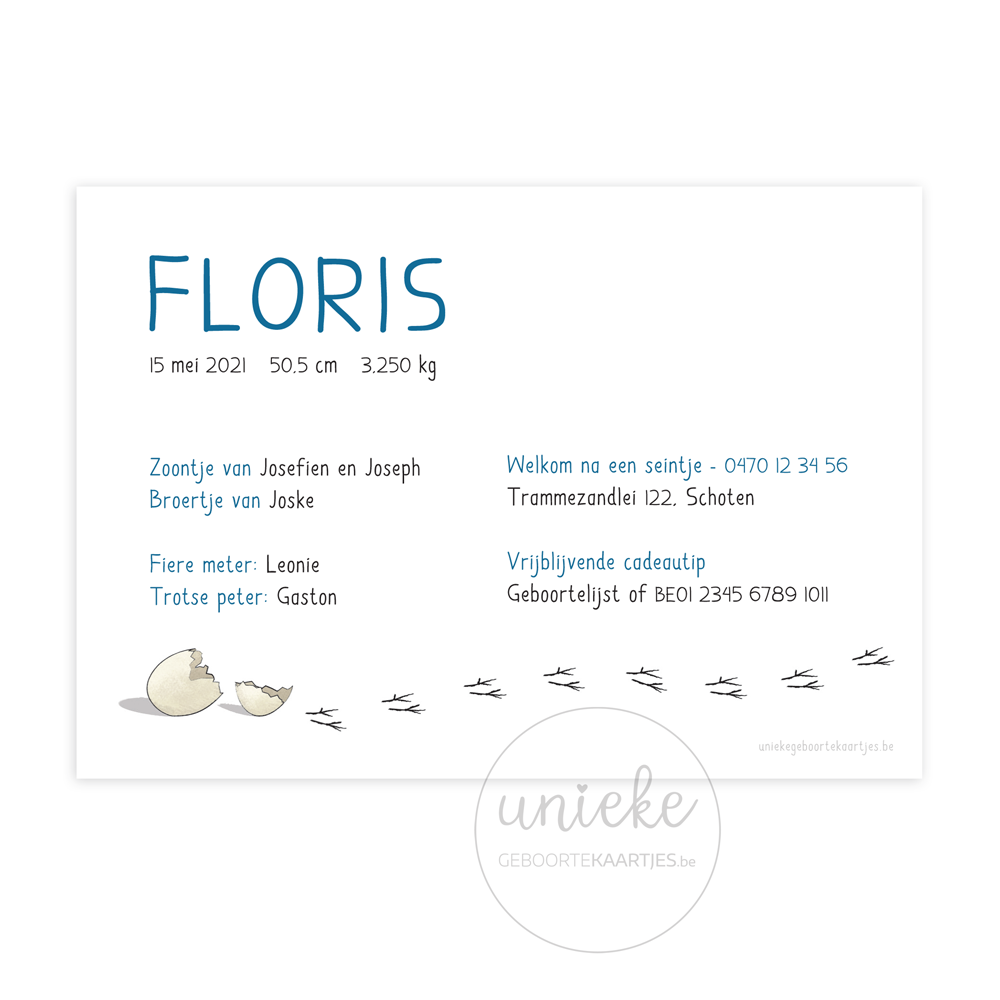 Geboortekaartje Floris Vogel Achterkant Achterkant van het kaartje van Floris