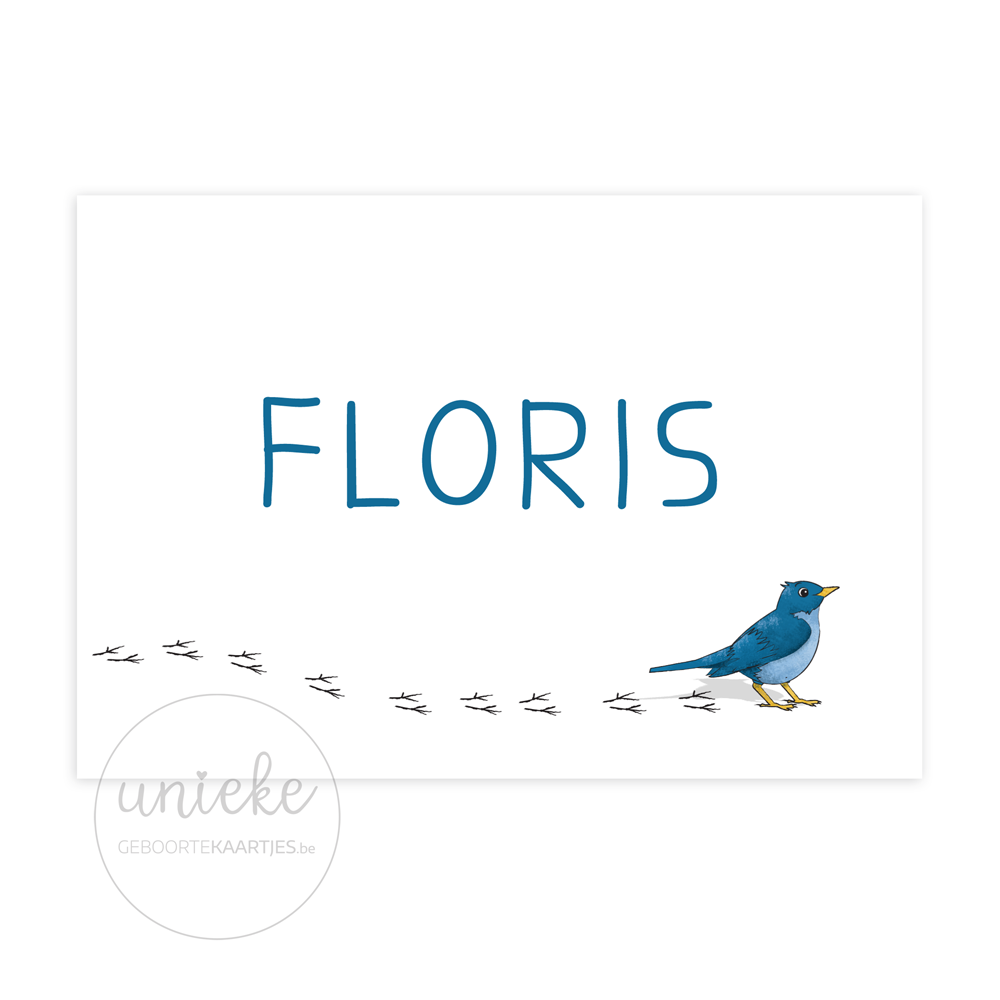 Geboortekaartje Floris Vogel Voorkant Voorkant van het geboortekaartje van Floris