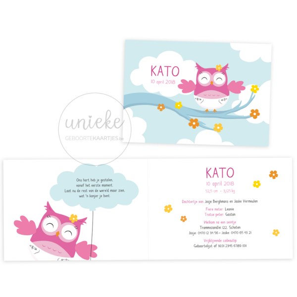 Het geboortekaartje van Kato