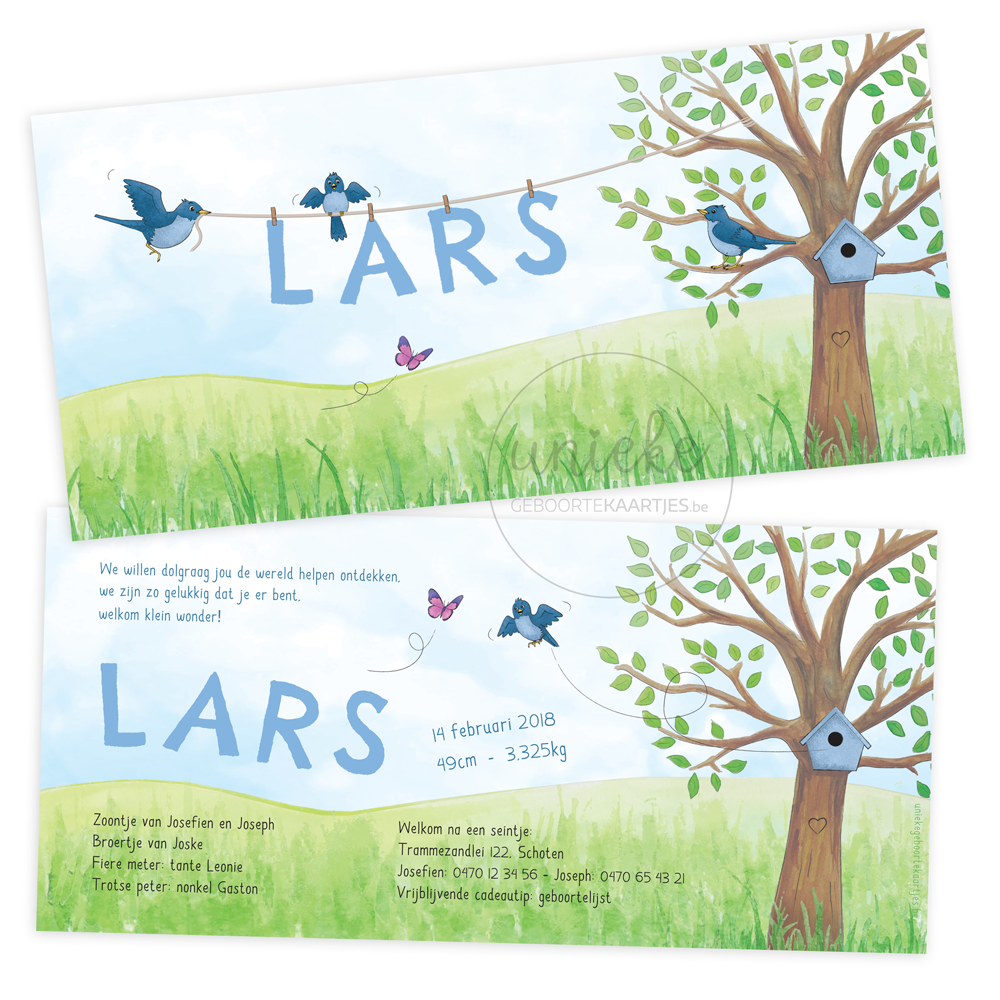Geboortekaartje Lars Vogels Geboortekaartje van Lars