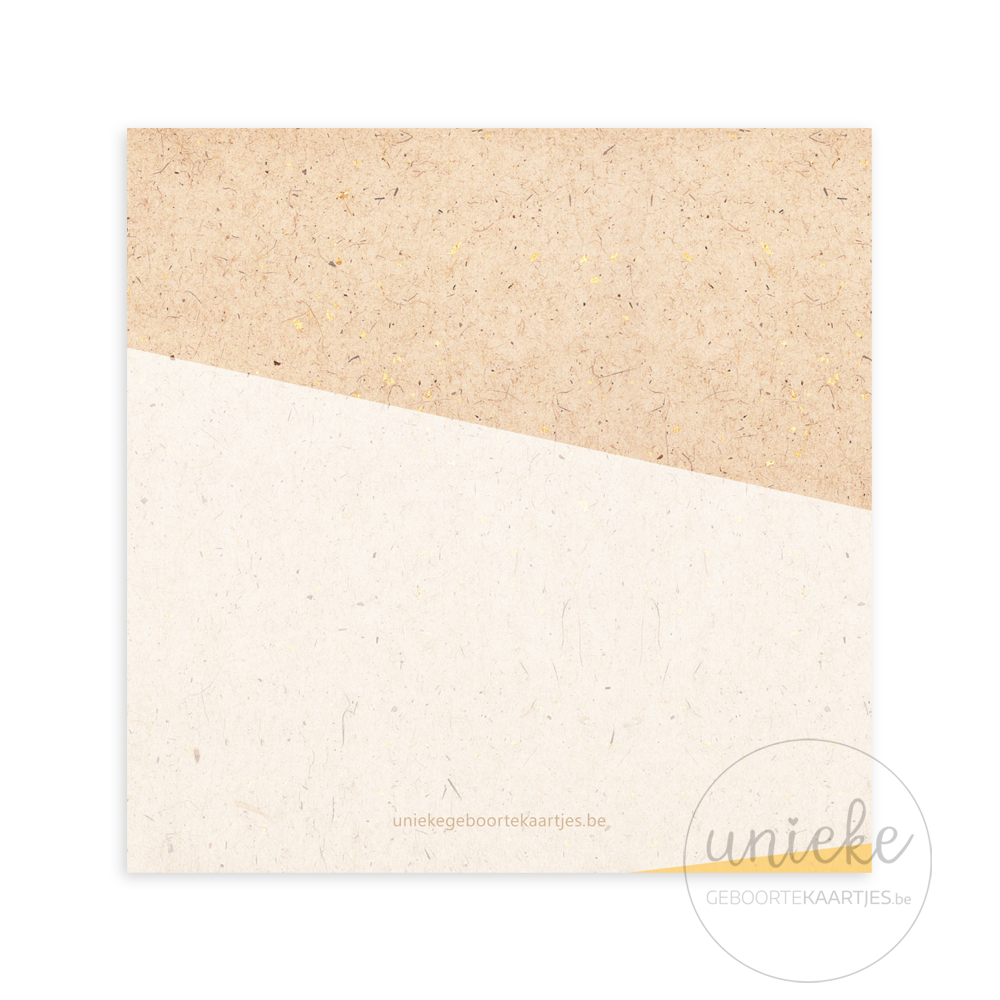 Achterkant van het kaartje van Marte