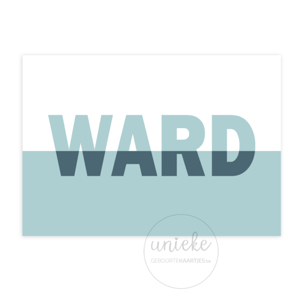 Voorkant van het geboortekaartje van Ward