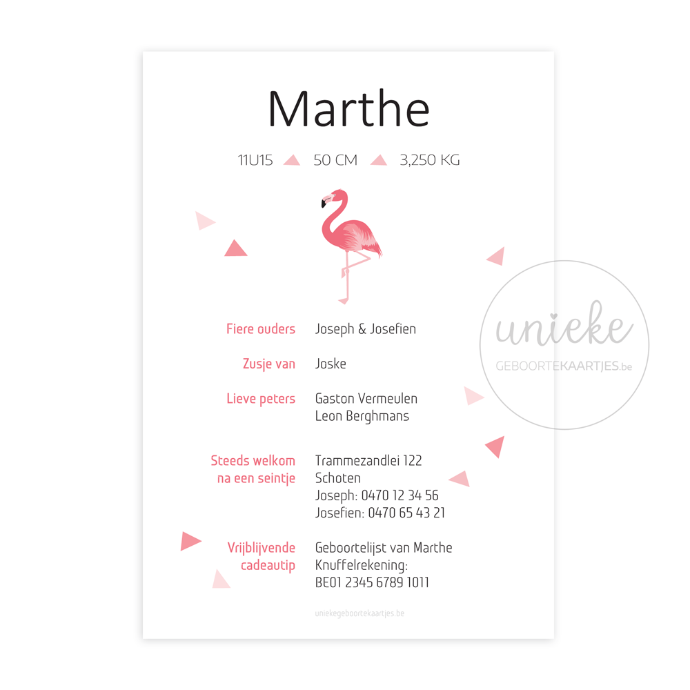 De achterkant van het rechthoekige kaartje van Marthe met flamingo