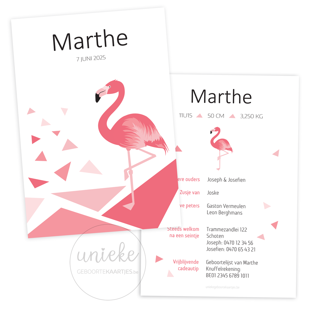 De voorkant en de achterkant van het rechthoekige kaartje van Marthe met flamingo