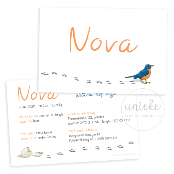Voorkant en achterkant van het geboortekaartje van Nova