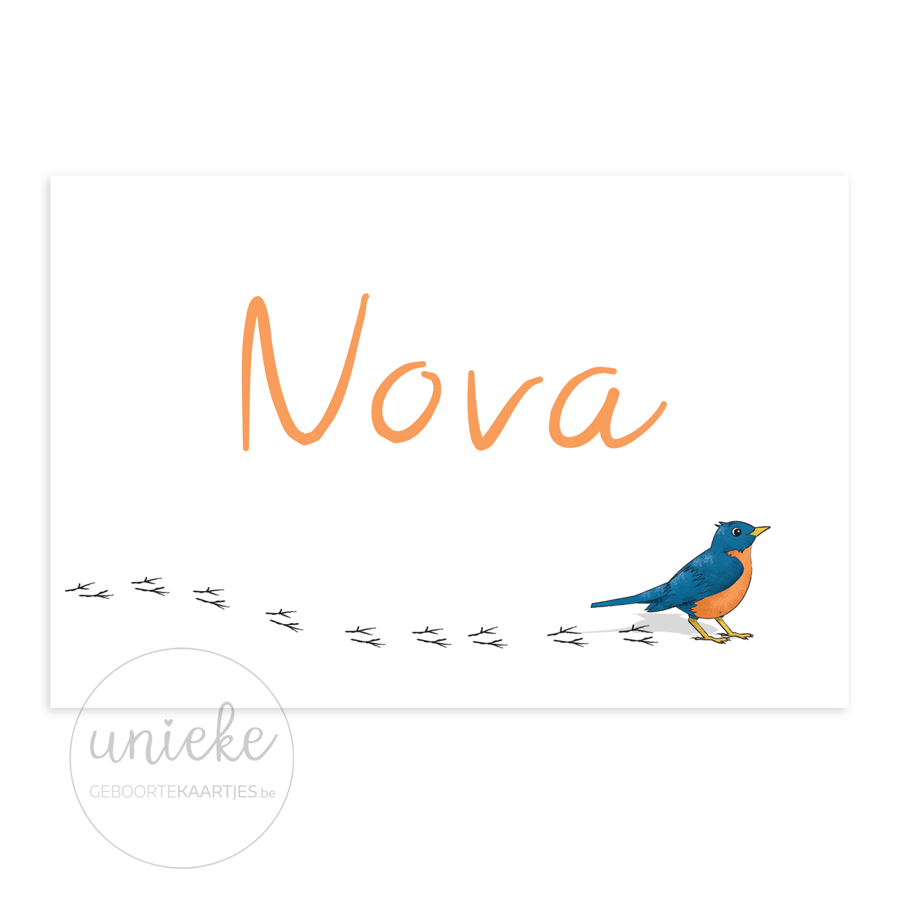 Geboortekaartje Nova Vogel Voorkant Voorkant van het kaartje van Nova