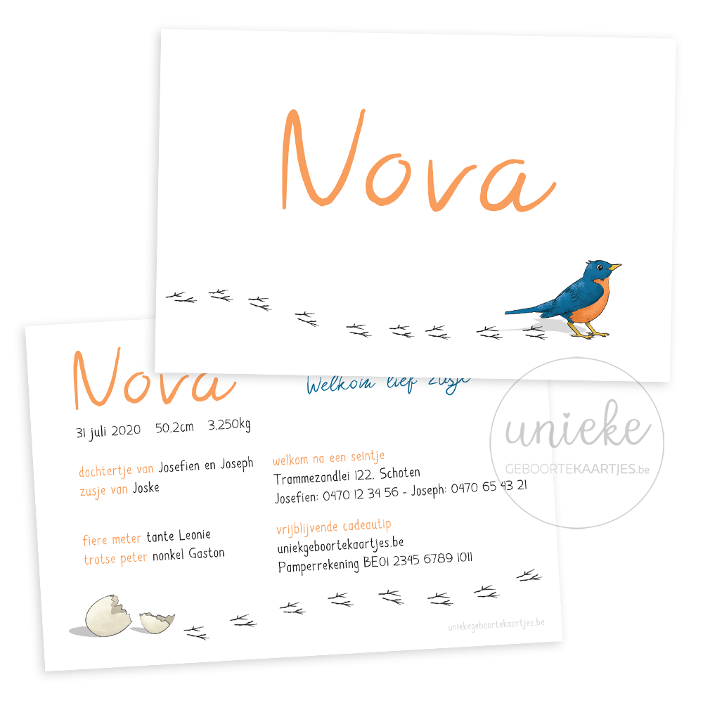 Geboortekaartje Nova Vogel Voorkant en achterkant van het geboortekaartje van Nova