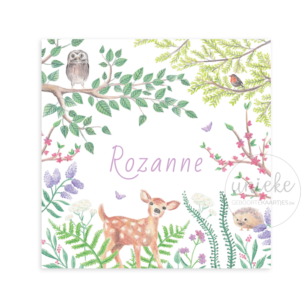Geboortekaartje Rozanne Voorkant Voorkant van het kaartje van Rozanne