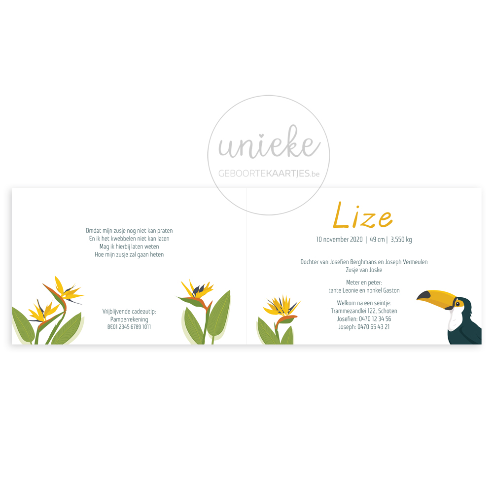 Binnenkant van het kaartje van Lize met een toekan