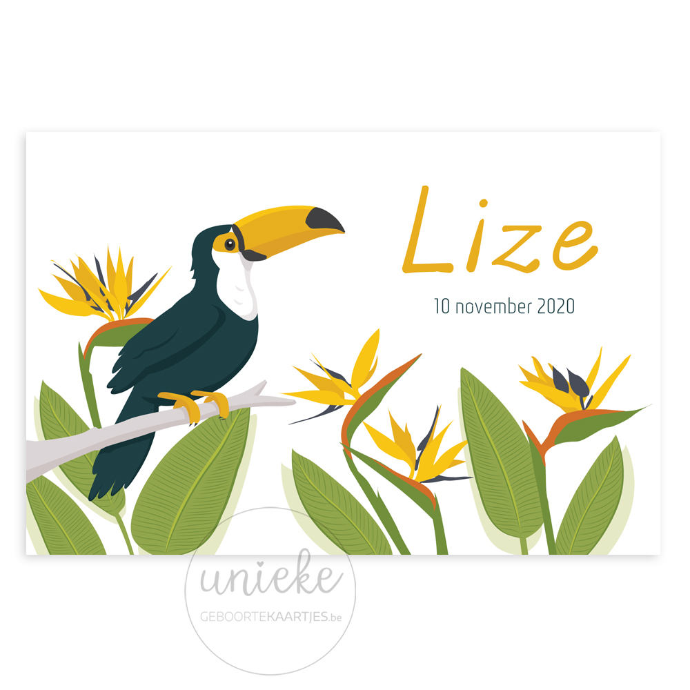 Voorkant van het kaartje van Lize met een toekan