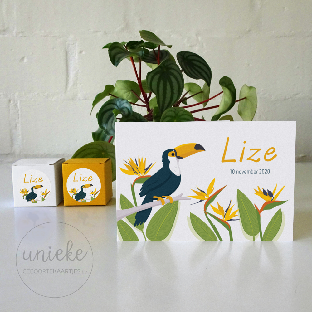 Kaartje en doopsuiker van Lize