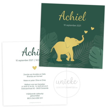 Geboortekaartje van Achiel