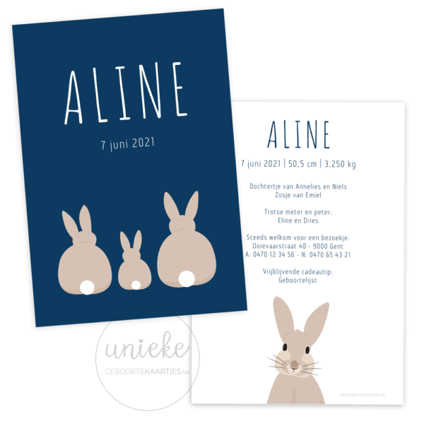 Geboortekaartje van Aline