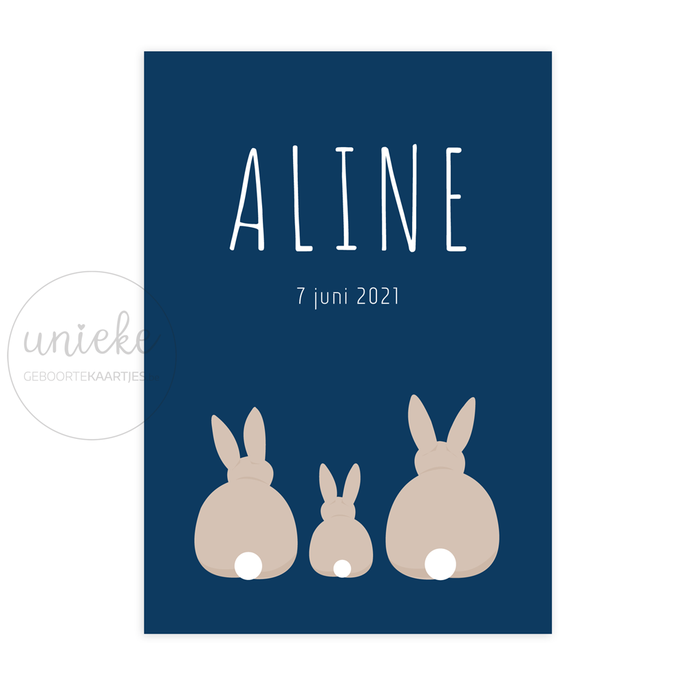 Geboortekaartje Aline Voorkant Voorkant van het geboortekaartje van Aline