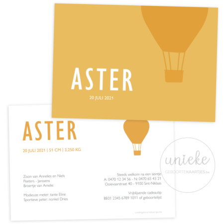Geboortekaartje van Aster