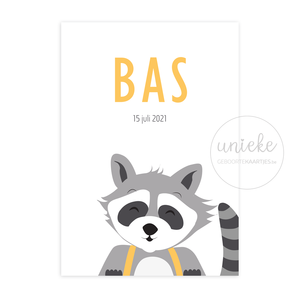 Voorkant van het geboortekaartje van Bas