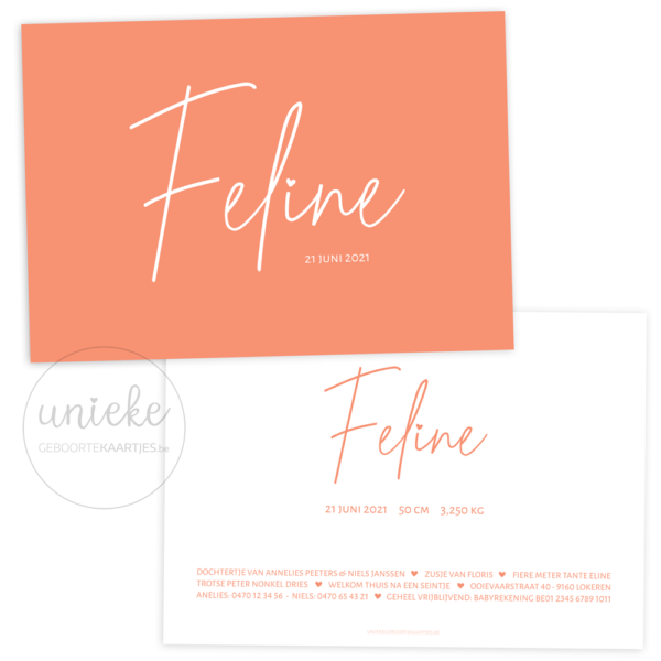 Geboortekaartje van Feline