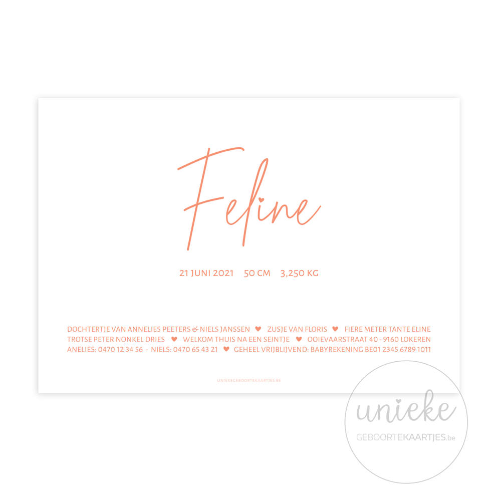 Achterkant van het kaartje van Feline