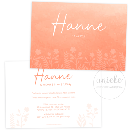 Geboortekaartje van Hanne