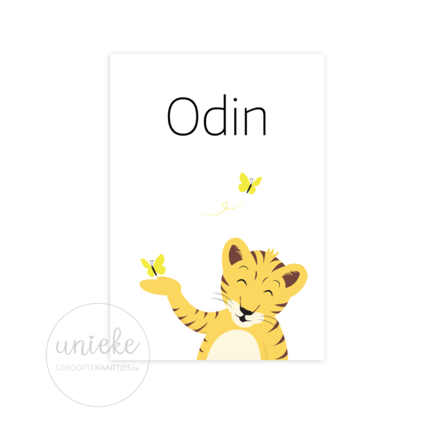 Voorkant van het kaartje van Odin