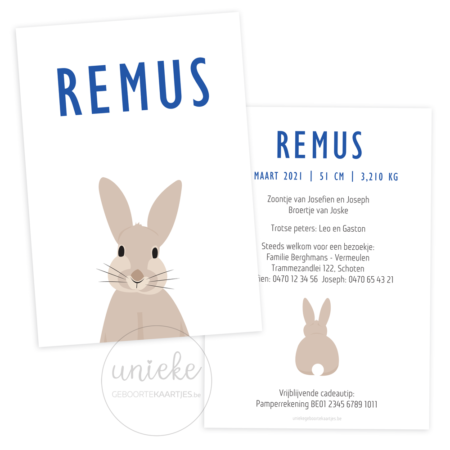 Geboortekaartje van Remus