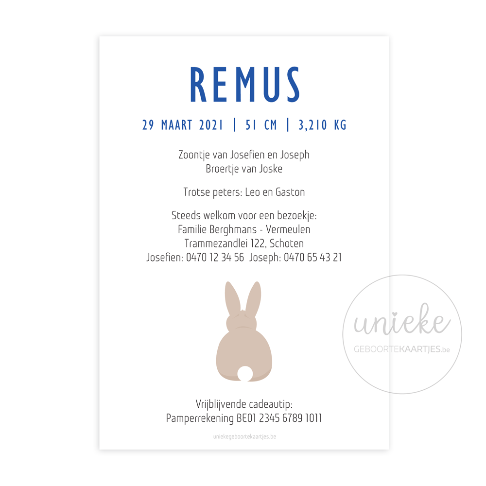 Geboortekaartje Remus Konijn Achterkant Achterkant van het kaartje van Remus