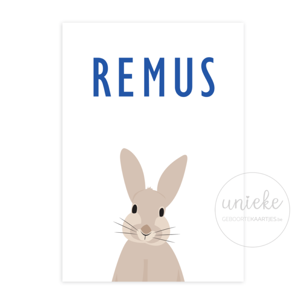Voorkant van het kaartje van Remus