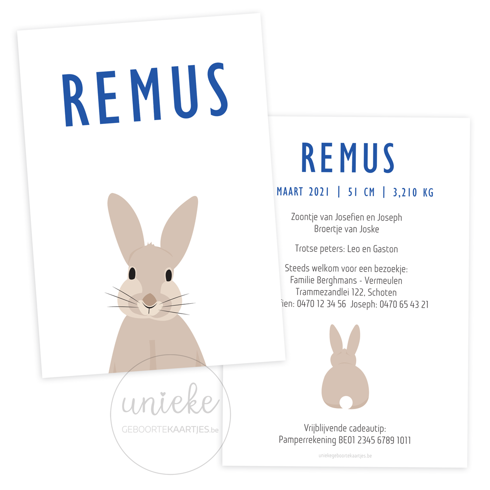 Geboortekaartje Remus Konijn Geboortekaartje van Remus