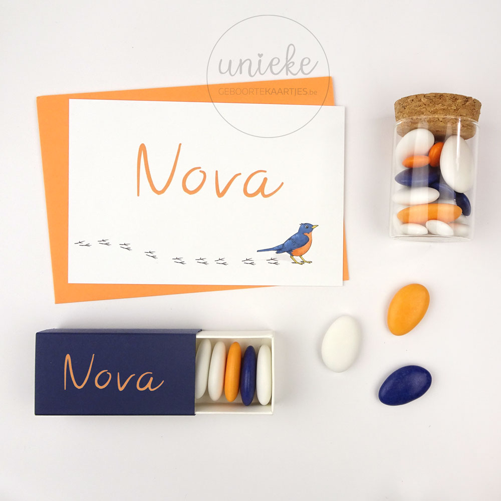 Nova Naamsticker Vinyl Naamsticker van Nova