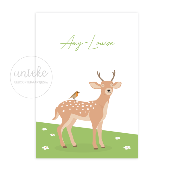 Voorkant van het kaartje van Amy-Louise