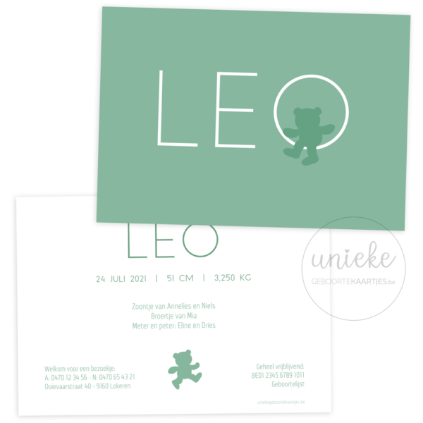 Geboortekaartje van Leo