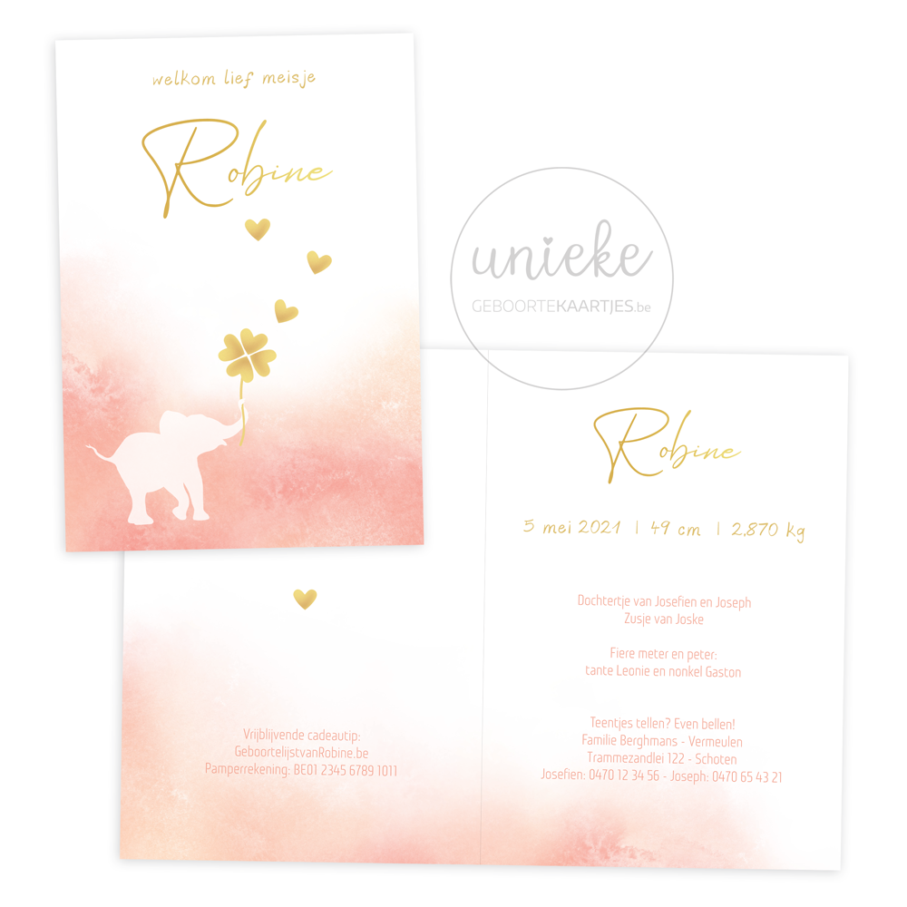 Voorkant en achterkant van het kaartje van Robine