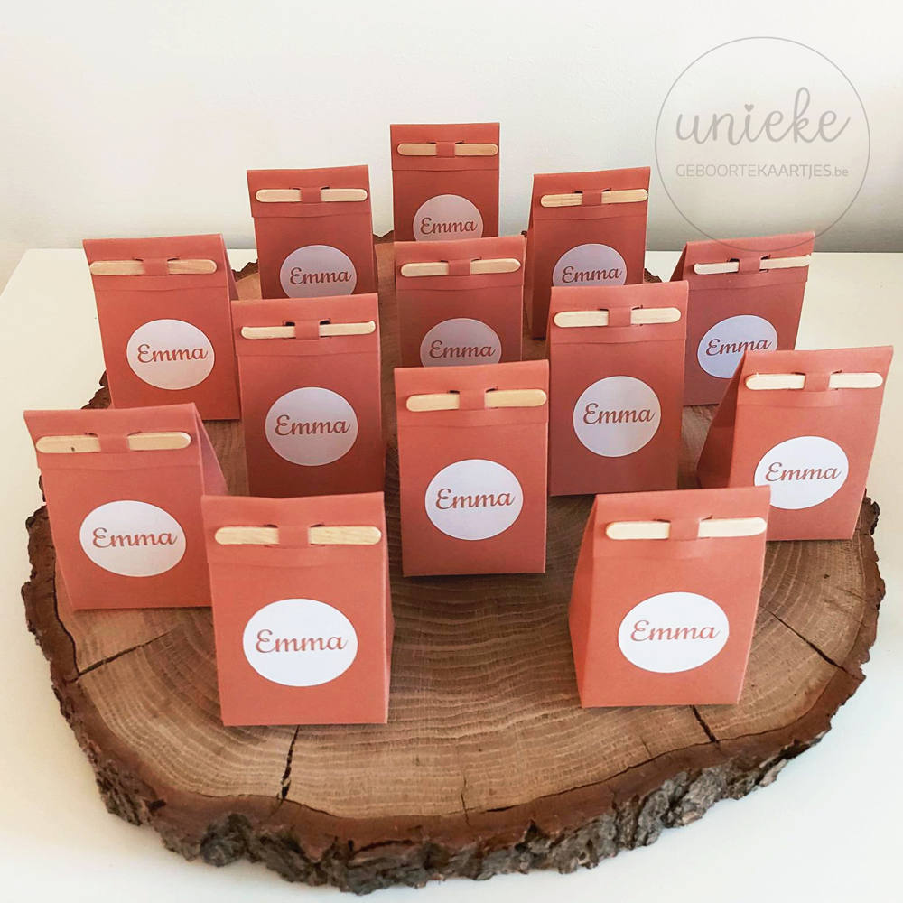 Emma Doosjes Met Stokje En Sticker Doosjes van Emma met stokjes en stickers