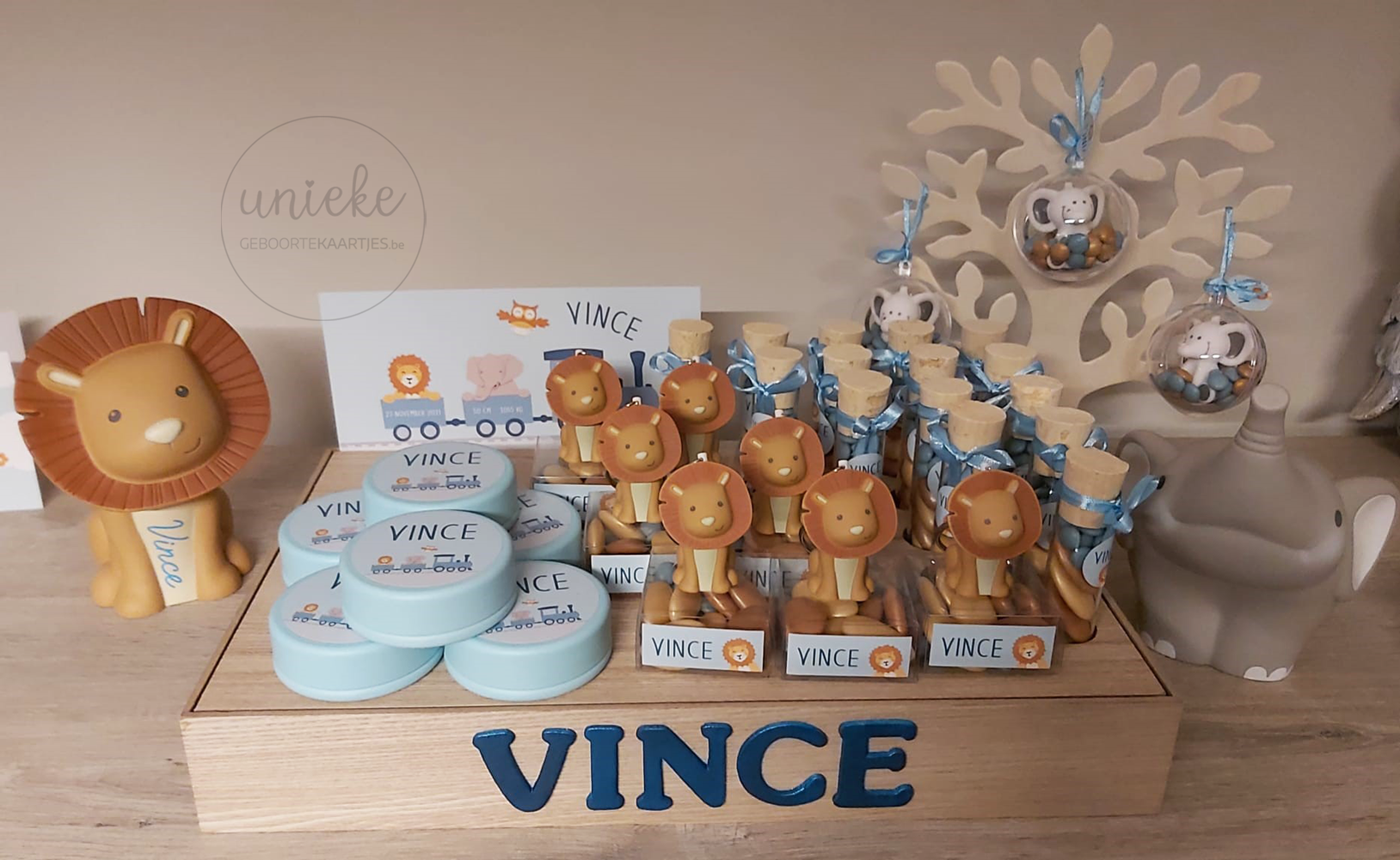 Doopsuikerpresentatie van Vince