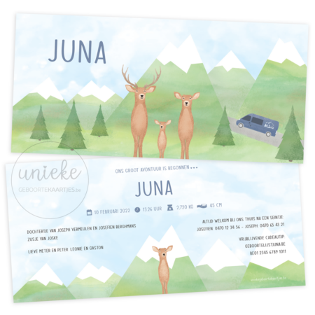 Voorkant en achterkant van het kaartje van Juna