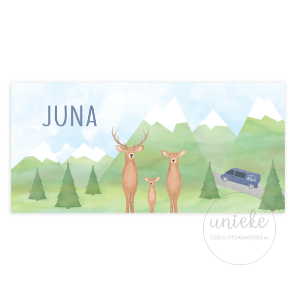Voorkant van het kaartje van Juna