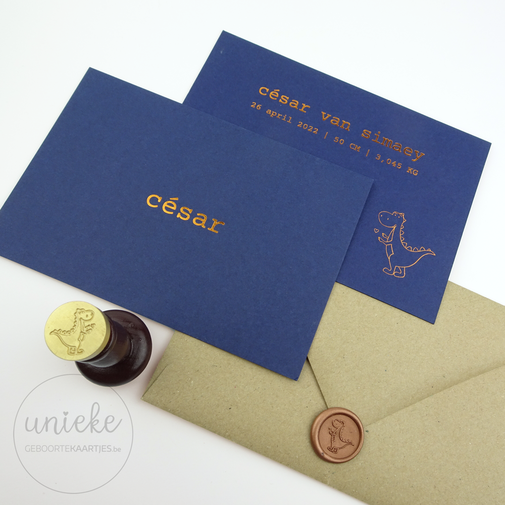 Foto Cesar Geboortekaartje Geboortekaartje van César