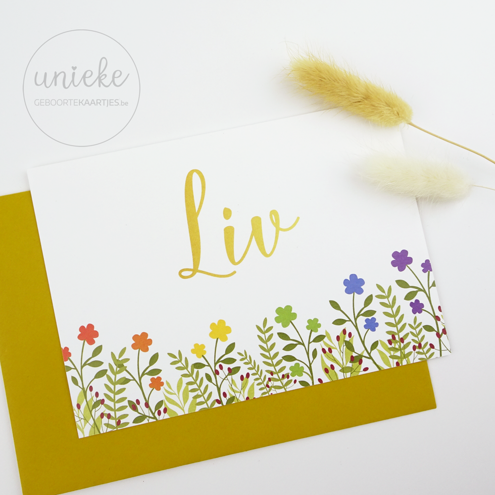 Geboortekaartje van Liv