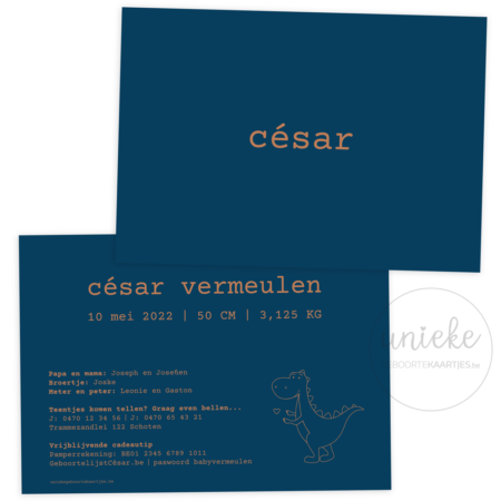 Voorkant en achterkant van het kaartje van Cesar