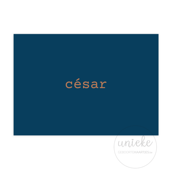 Voorkant van het kaartje van Cesar