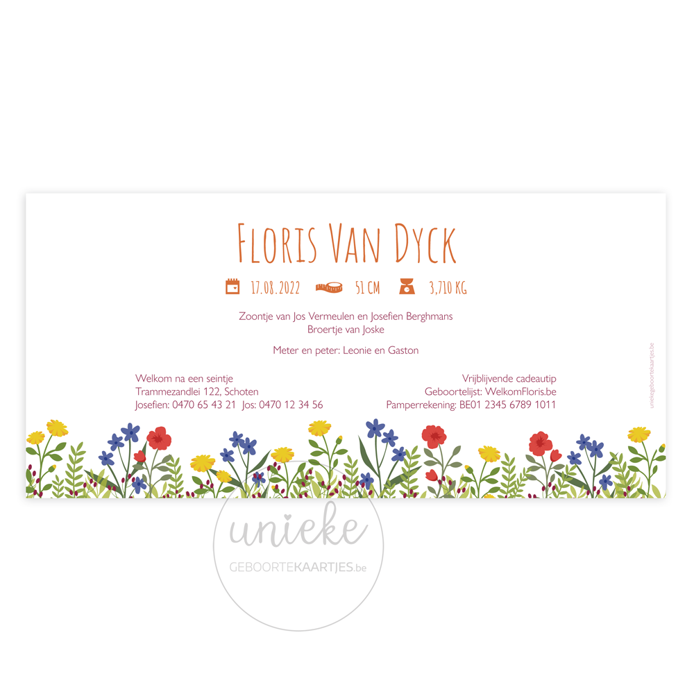 Achterkant van het geboortekaartje van Floris