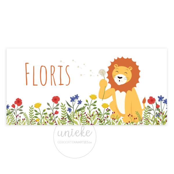 Voorkant van het geboortekaartje van Floris