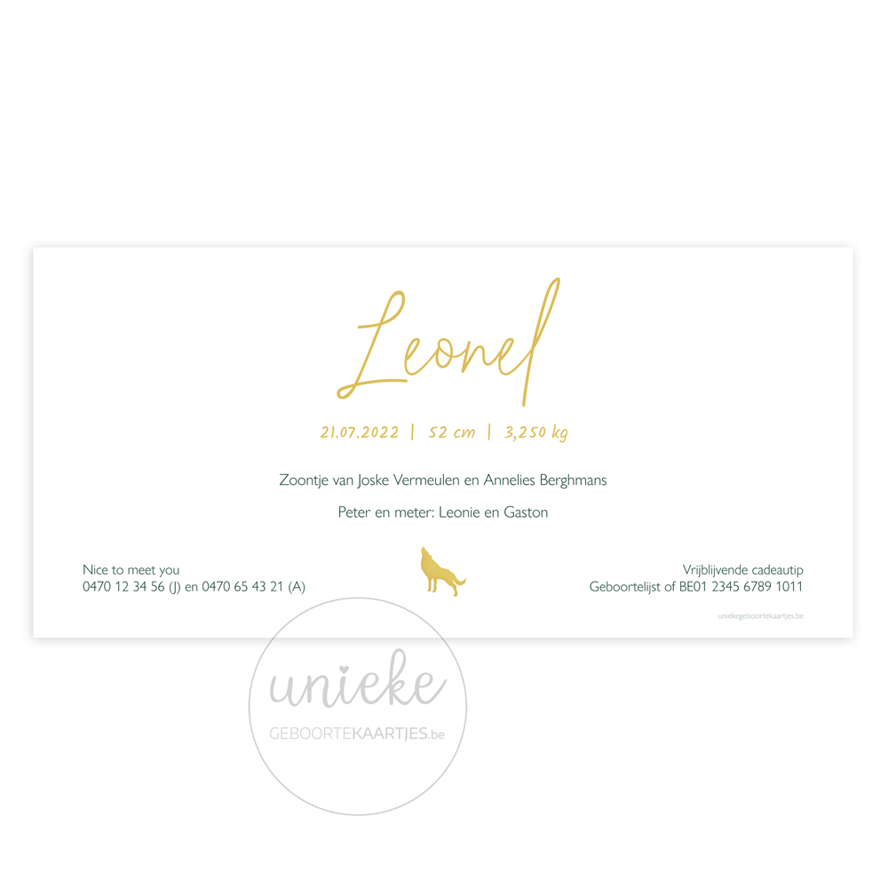 Achterkant van het geboortekaartje van Leonel