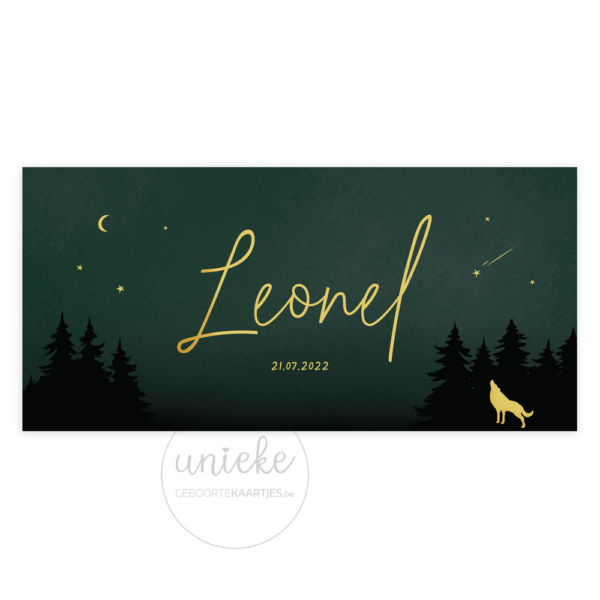 Voorkant van het geboortekaartje van Leonel