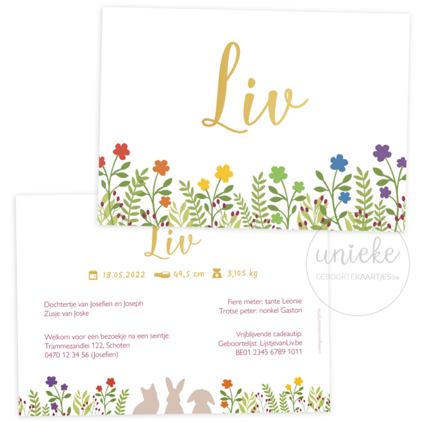 Voorkant en achterkant van het kaartje van Liv