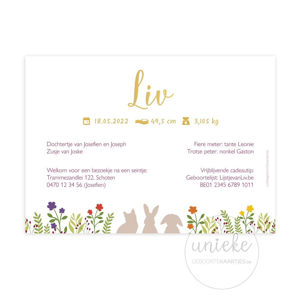 Achterkant van het kaartje van Liv