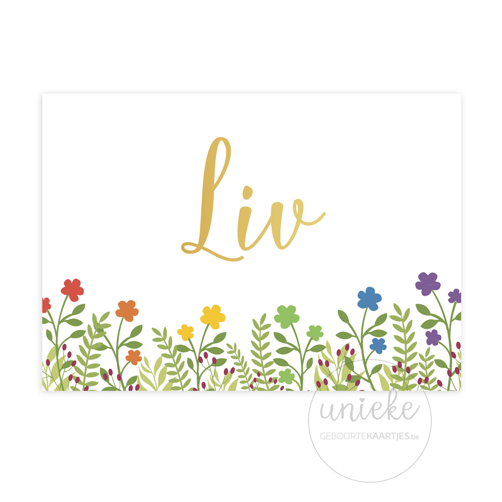 Voorkant van het kaartje van Liv