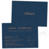 geboortekaartje-cesar-dinosaurus De voorkant en de achterkant van het geboortekaartje van César met dinosaurus