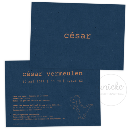 De voorkant en de achterkant van het geboortekaartje van César met dinosaurus