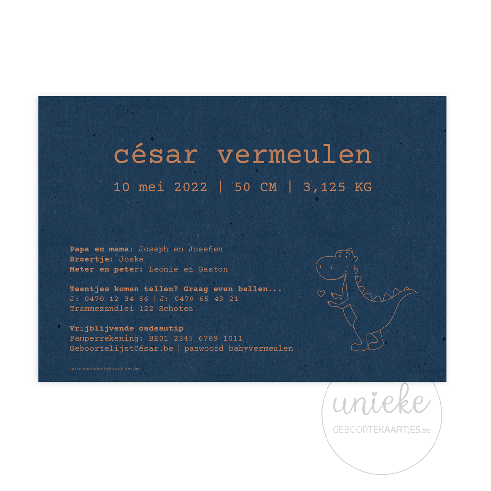 geboortekaartje-cesar-dinosaurus-achterkant De achterkant van het geboortekaartje van César met dinosaurus